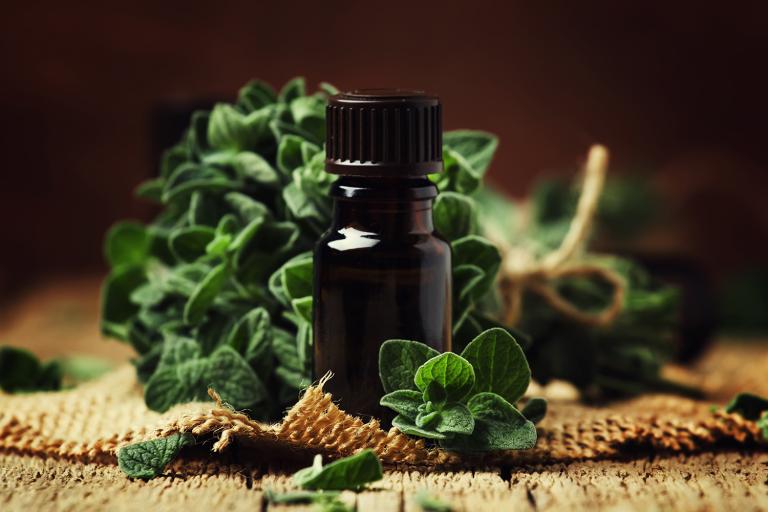 a bottle of oregano oil extract surrounded by the fresh herb